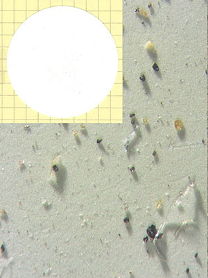 Schleiföl-Filtration, CNC Werkzeugschleifmaschinen, mit Feinfiltration