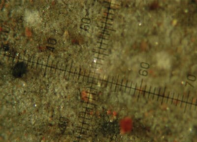 Probe vor Wasserglykol-Filtration